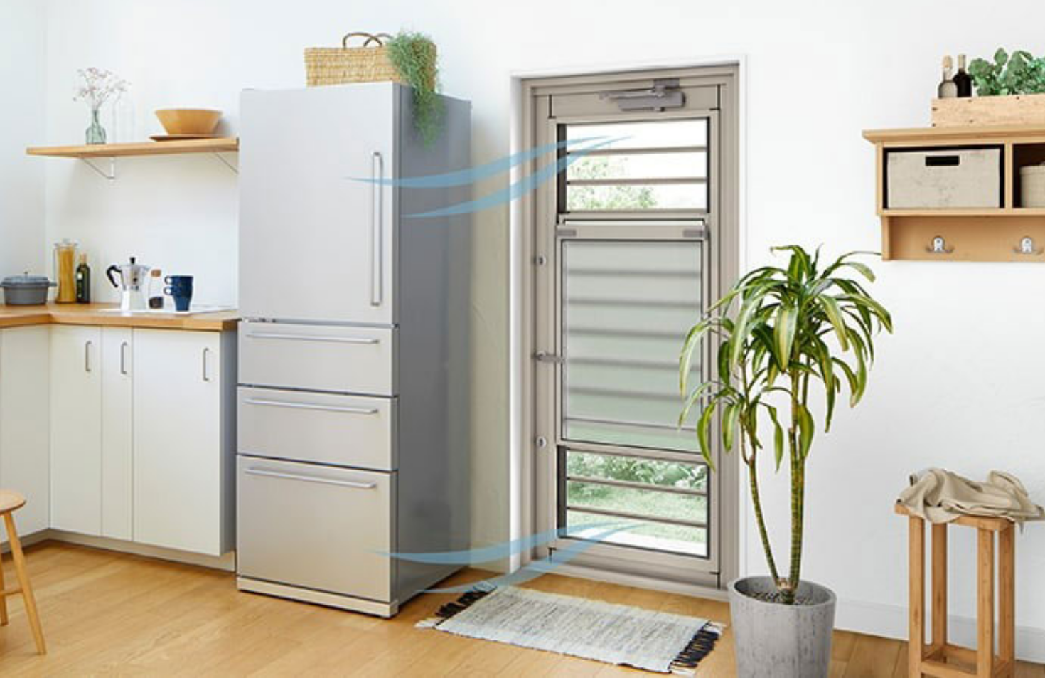 ���V�F���g������h�A